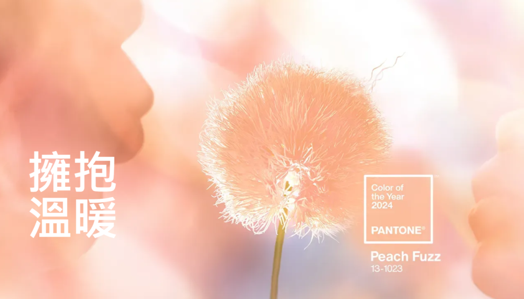 Pantone 2024代表色「Peach Fuzz柔和桃」