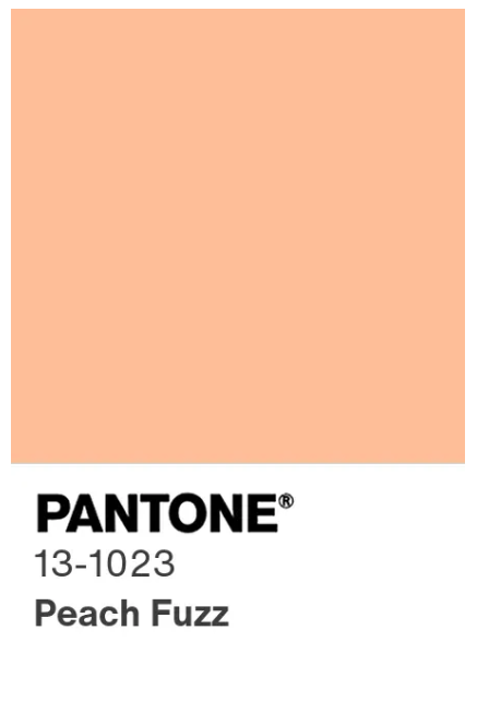 Pantone 2024代表色「Peach Fuzz柔和桃」